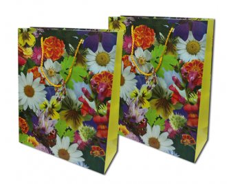 Пакет подарочный 15*30 в ассортименте (2000/100)