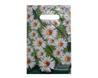 Пакет с прорубной неусиленной ручкой 20*30 (30мкм) Лето (2000/100)