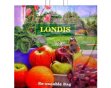 Пакет с петлевой ручкой 44*43+16 (60мкм) Londis (250/50)