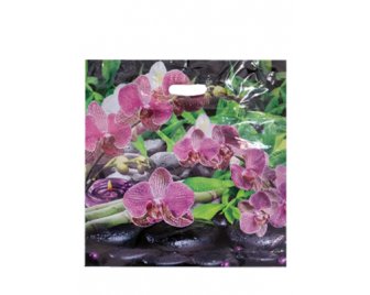 Пакет с прорубной ручкой 45*45 (70мкм) Ветка орхидеи (300/50)