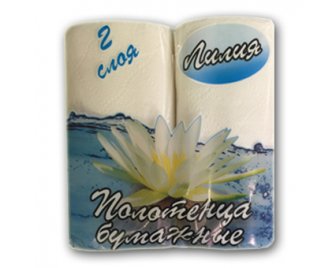 Полотенце бумажное  DEXLAIN  2х слойное 2 рулона (10)