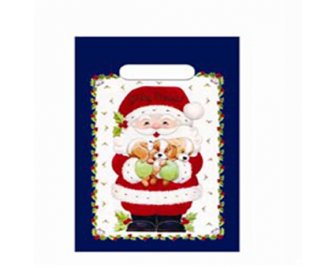 Пакет с прорубной ручкой 20*30см НГ Желанный подарок (2000/100)