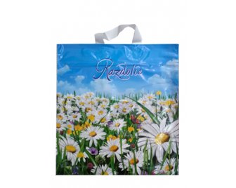 Пакет с петлевой ручкой 40*42 (45мкм) Раздолье (500/50)