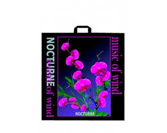 Пакет с петлевой ручкой 48*50 Ноктюрн (250/50)