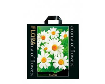 Пакет с петлевой ручкой 48*50 Флора ромашки (250/50)