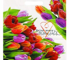 Пакет с прорубной неусиленной ручкой 20*30 (30мкм) Флюид (2000/100)