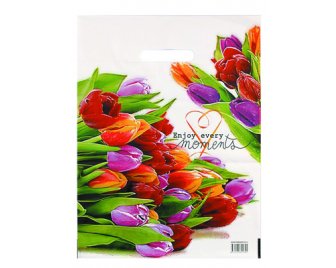 Пакет с прорубной ручкой 31*40 (60мкм) Этюд (500/50)