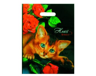 Пакет с прорубной ручкой 31*40 (60мкм) Рапсодия (500/50)