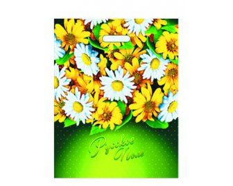 Пакет с прорубной ручкой 40*47 (45мкм) Русское поле (1000/50)