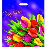 Пакет с прорубной ручкой 30*40 (30мкм) Романтик (1000/50)