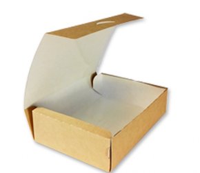 Коробка на вынос 2500мл 260*260*40мм OSQ TABOX PRO2500 с окном (150/25)