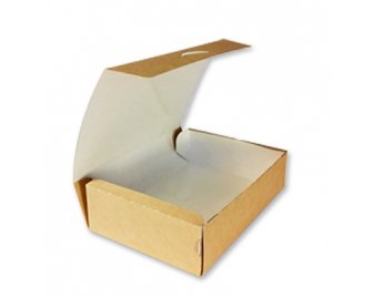 Коробка на вынос 2500мл 260*260*40мм OSQ TABOX PRO2500 с окном (150/25)