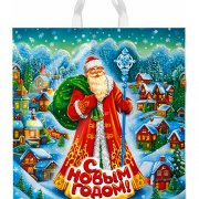 Пакет с петлевой ручкой 40*42см (45мкм) НГ Село Морозово (500/25)