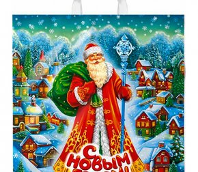 Пакет с петлевой ручкой 40*42см (45мкм) НГ Село Морозово (500/25)