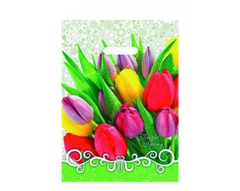 Пакет с прорубной ручкой 31*40 (60мкм) Озеро (500/50)