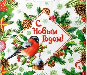 Пакет с прорубной ручкой 40*47см (45мкм) НГ Снегирь (500/50)