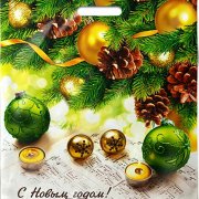 Пакет с прорубной ручкой 40*47см (45мкм) НГНовогодняя увертюра (500/50)