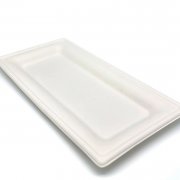 Тарелка биоразлагаемая 260*130мм прямоугольная (сахарный тростник) (500/50)  Р304