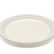 Тарелка биоразлагаемая d=225мм круглая (сахарный тростник) (1000/50)  Р102