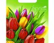 Пакет с прорубной неусиленной ручкой 20*30 (30мкм) Весна (2000/100)