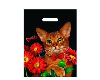 Пакет с прорубной ручкой 31*40 (60мкм) Моника (500/50)