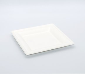 Тарелка биоразлагаемая 155мм квадратная (сахарный тростник) (500/50)  Р302