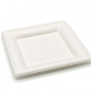 Тарелка биоразлагаемая 155мм квадратная (сахарный тростник) (500/50)  Р302