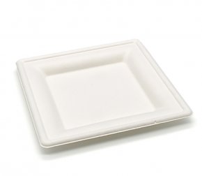 Тарелка биоразлагаемая 155мм квадратная (сахарный тростник) (500/50)  Р302