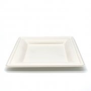 Тарелка биоразлагаемая 203мм квадратная (сахарный тростник) (500/50)  Р303