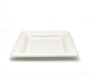 Тарелка биоразлагаемая 203мм квадратная (сахарный тростник) (500/50)  Р303