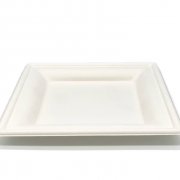 Тарелка биоразлагаемая 203мм квадратная (сахарный тростник) (500/50)  Р303