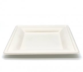 Тарелка биоразлагаемая 203мм квадратная (сахарный тростник) (500/50)  Р303